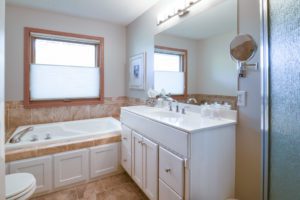 1344 Ithilien Chanhassen MN 55331