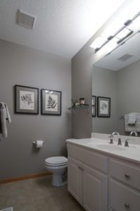 1344 Ithilien Chanhassen MN 55331