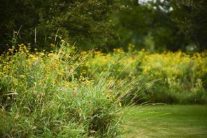 3020 Watertown Rd Orono MN 55365