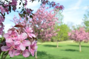 3020 Watertown Rd Orono MN 55365 11