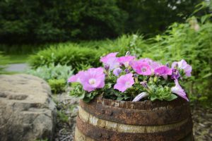 3020 Watertown Rd Orono MN 55365