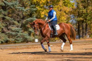 Dressage Arena at 9255 County Road 6 Independence, MN 55359