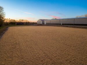 Image fo the outdoor riding ring during sunset at 9255 County Road 6 Independence, MN 55359