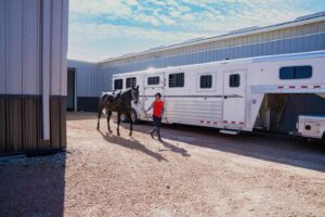 Horse trailer, horse and rider at 9255 County Road 6 Independence, MN 55359