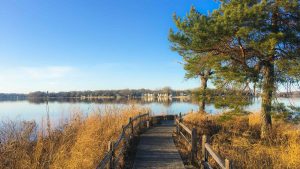 Lake Minnetonka Real Estate - Excelsior Commons Beach