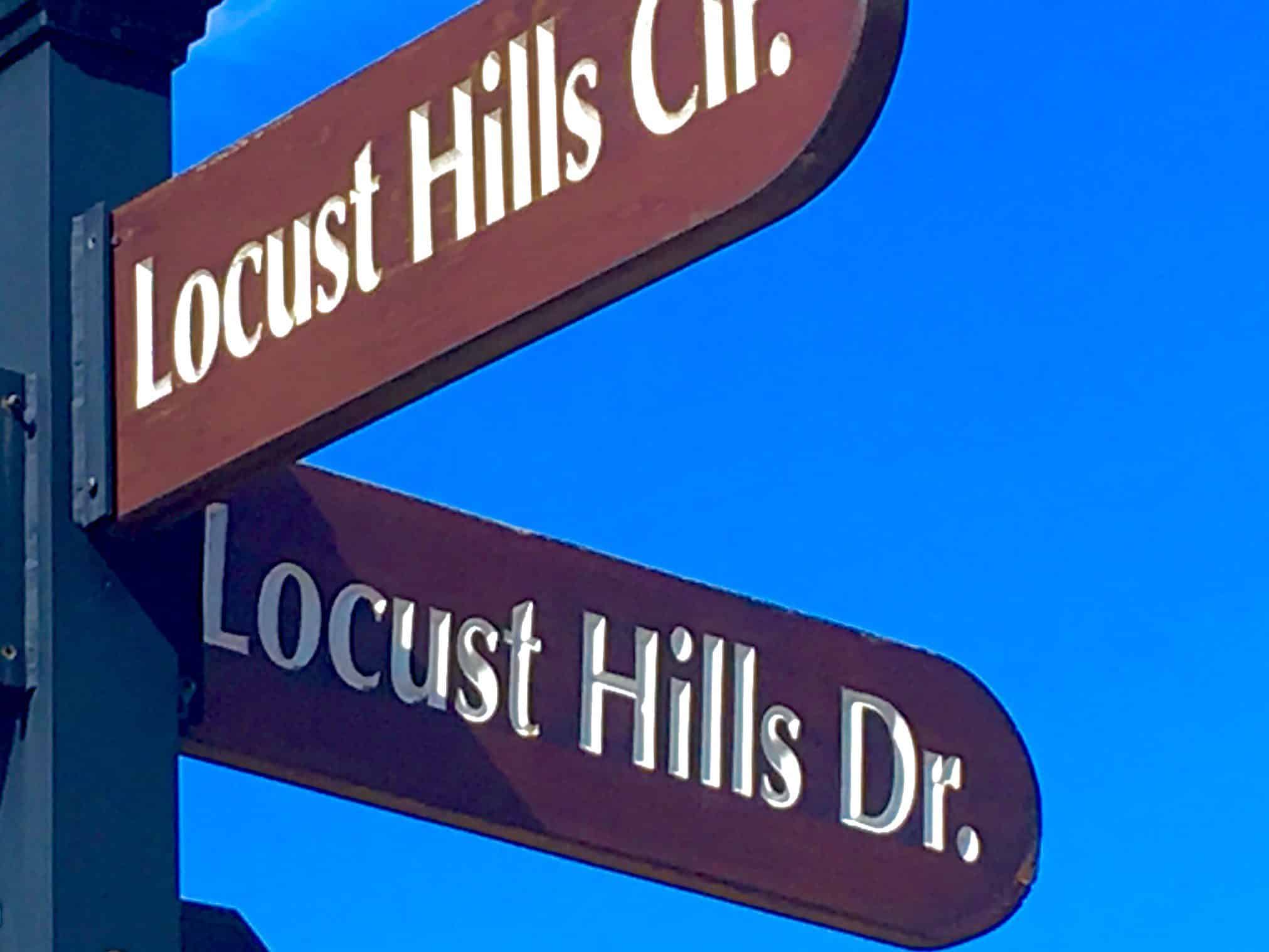 Locust Hills Homes for Sale Locust Hills Wayzata Real Estate