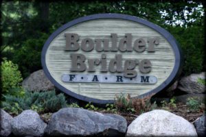 Boulder Bridge Homes for Sale